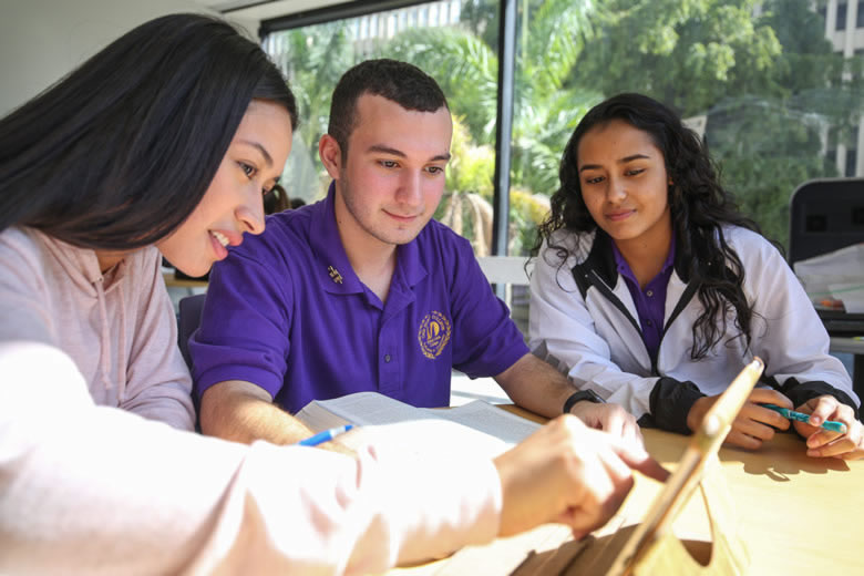 Group of students studying